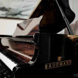 Brodmann PE 162