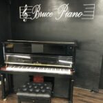 Brodmann P124V