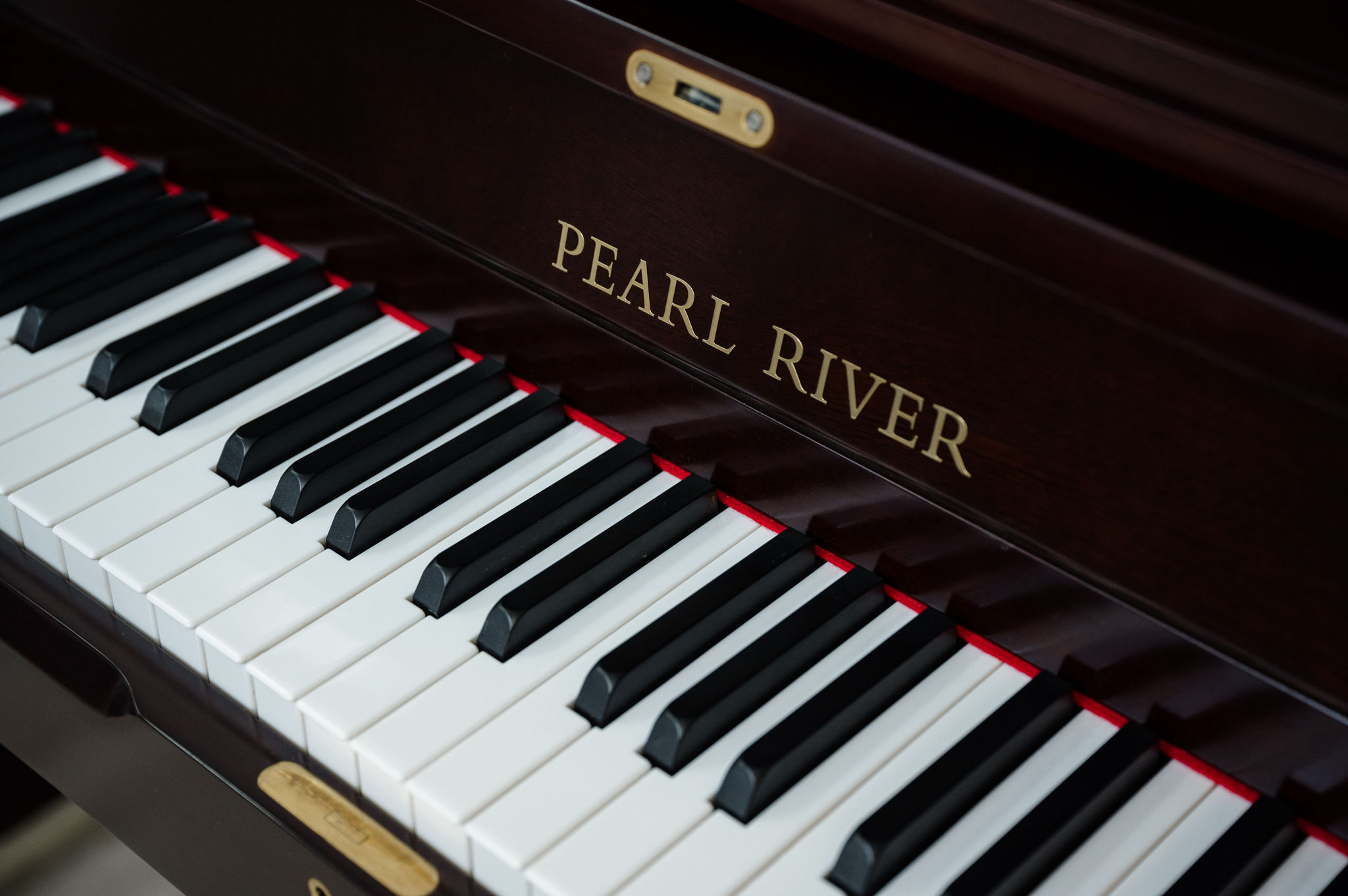 Pearl River UP115E - Image 45