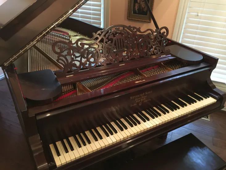Steinway B Rococo - Image 5