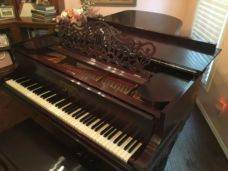 Steinway B Rococo - Image 6