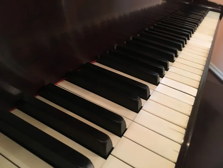 Steinway B Rococo - Image 9