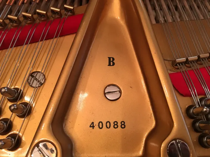 Steinway B Rococo - Image 26