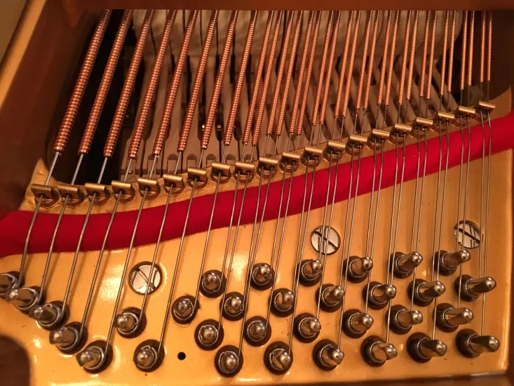 Steinway B Rococo - Image 27