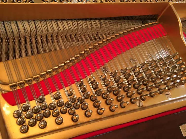 Steinway B Rococo - Image 28