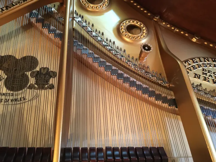 Steinway B Rococo - Image 32