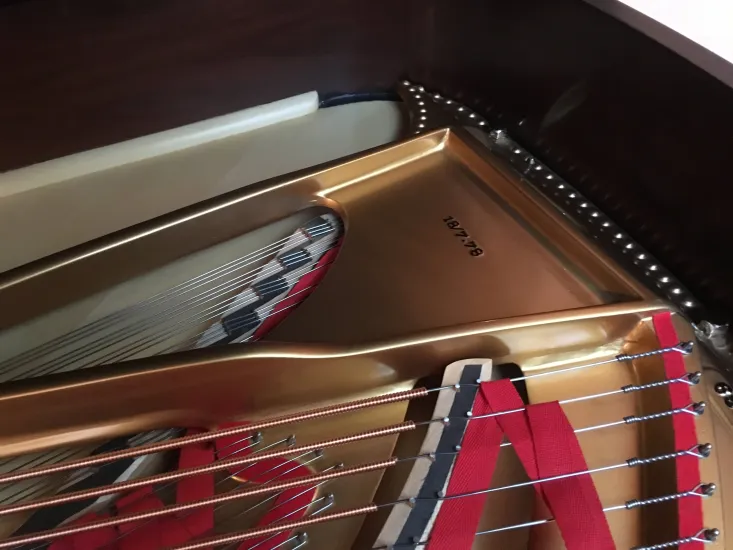 Steinway B Rococo - Image 38