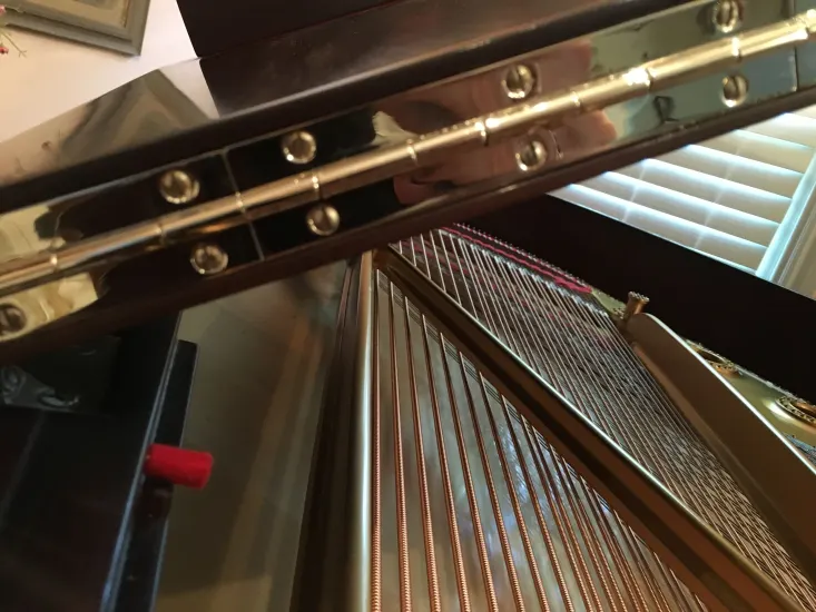 Steinway B Rococo - Image 39